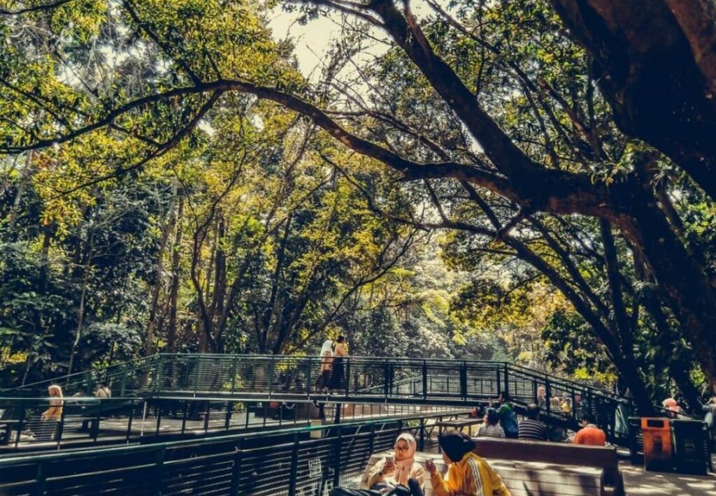 taman dago pakar bandung babakan siliwangi city forest path