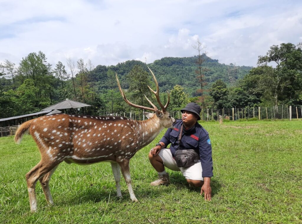 Wana-Wisata-Rusa-Tanjungsari